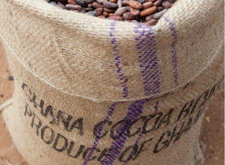 27/04/23   Ghana : les exportations de cacao ont le vent en poupe en 2022/2023